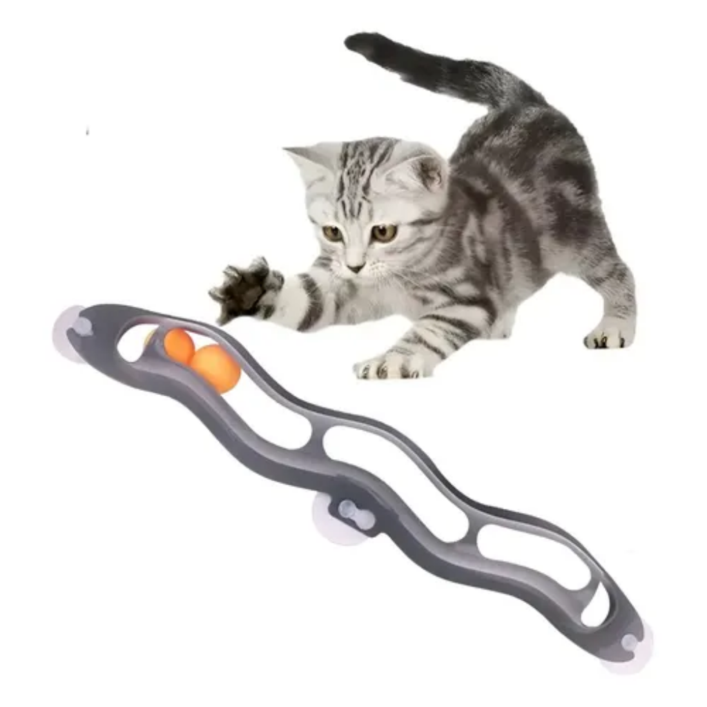 Trackball juguete para gatos