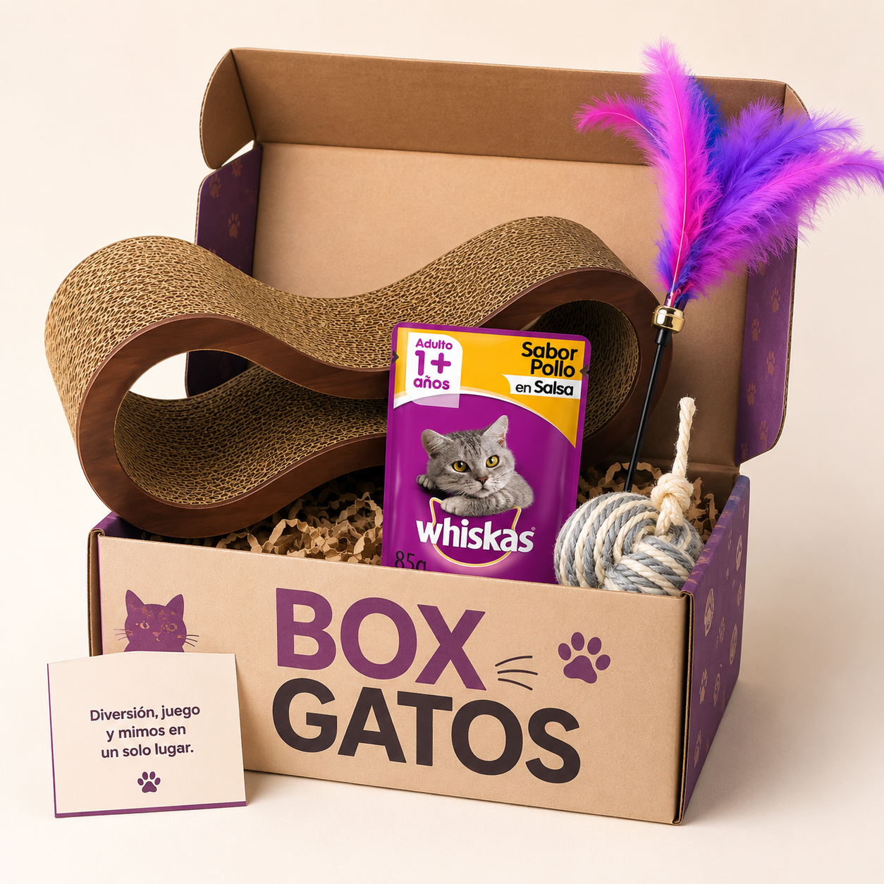 BOX GATOS
