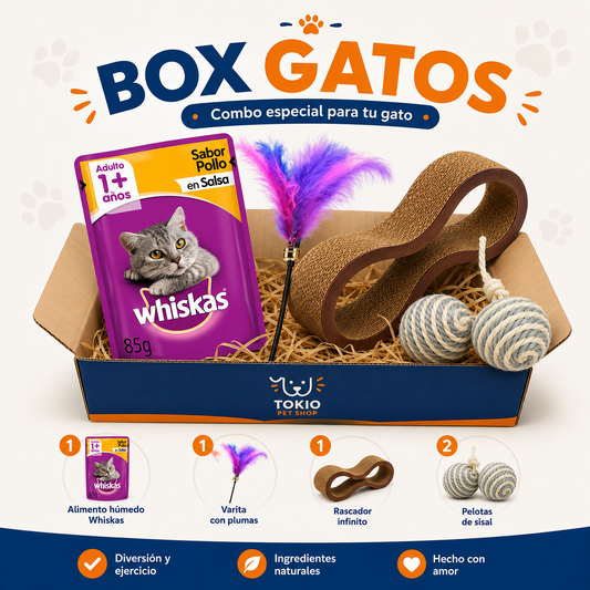 BOX GATOS