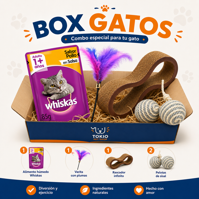 BOX GATOS